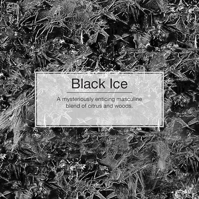 Little-Trees Black Ice Little Tree Air Freshener- 24 Pack