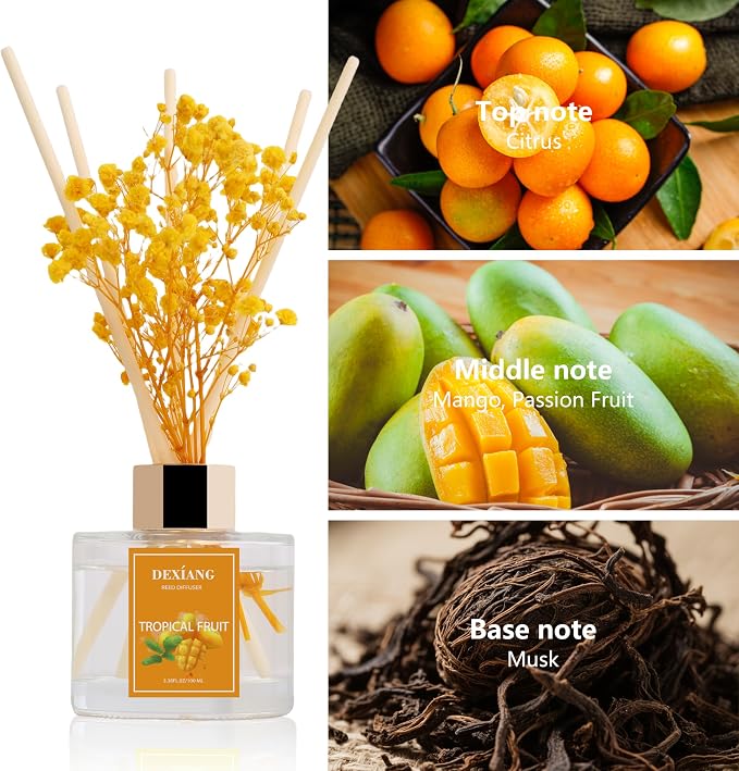 Reed Diffuser Set - 3.38 fl oz Tropical Fruit Premium Scented Oil with Preserved Baby's Breath & Cotton 6 Sticks | Long-Lasting Aromatherapy for Home, Bedroom, Bathroom, Office Home Decor