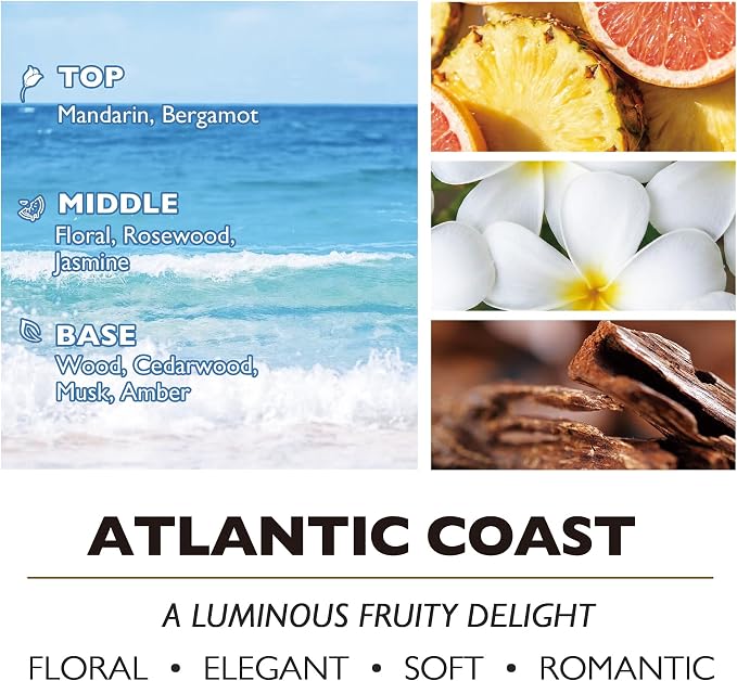 HomeLights Scented Candle | Large Jar Candle - 33.3 Oz. Natural Soy Aromatherapy Candles | Up to 130 Hours Burn Time with 3 Cotton Wicks,Home Decorative Fragrance Candles Gift - Atlantic Coast