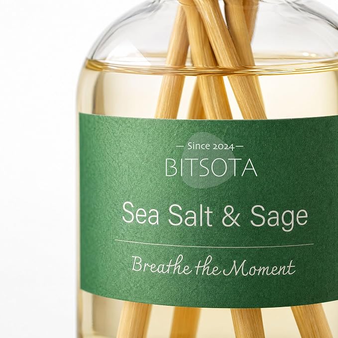 Natural Reed Diffuser Set, Sea Salt & Sage 3.52 oz (100ml) Scented Diffuser with Sticks Home Fragrance Reed Diffuser for Bathroom Shelf Decor, Ideal Gift for Woman