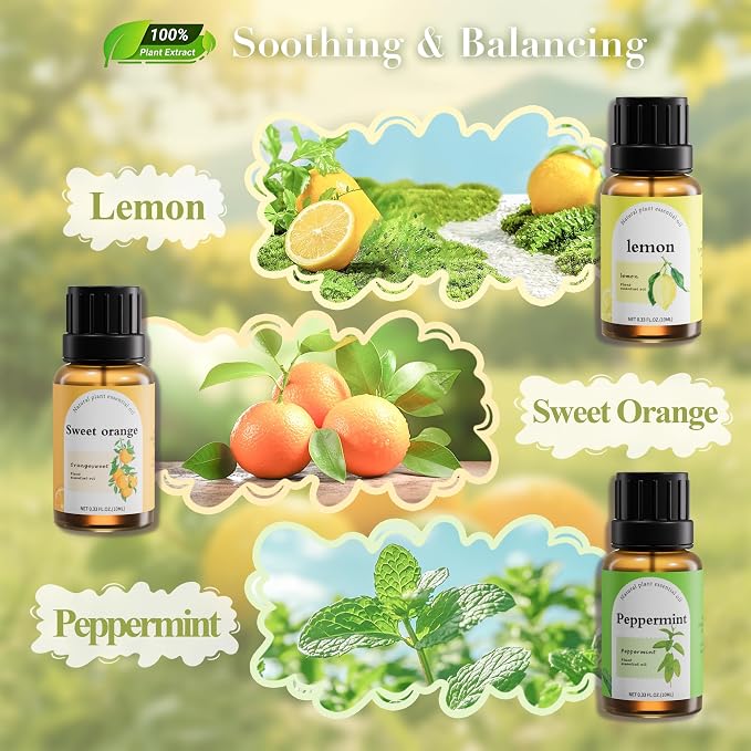 Fashome Energizing Essential Oils Set, 6-Pack,10ml for Diffusers & DIY | Citrus & Floral Aromatherapy Oils for Home Office & Focus - Peppermint, Sweet Orange, Lemon & Frankincense