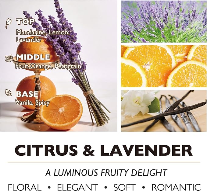 HomeLights Scented Candles - Large Jar Aromatherapy, Natural Soy Wax, 130 Hour Long Burning, Citrus & Lavender