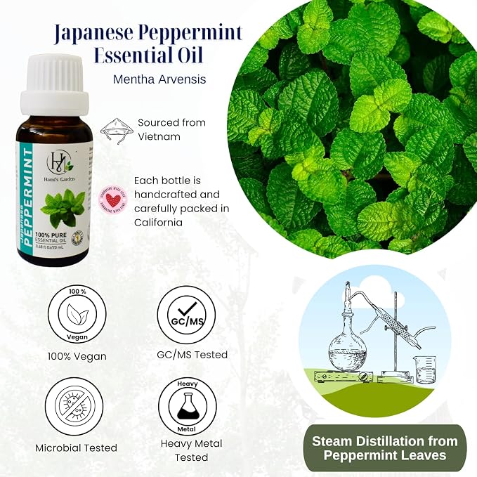 Hami’s Garden Japanese Peppermint Essential Oil – 100% Pure and Natural – Premium Grade with Glass Dropper – 0.68 fl Oz/20 mL