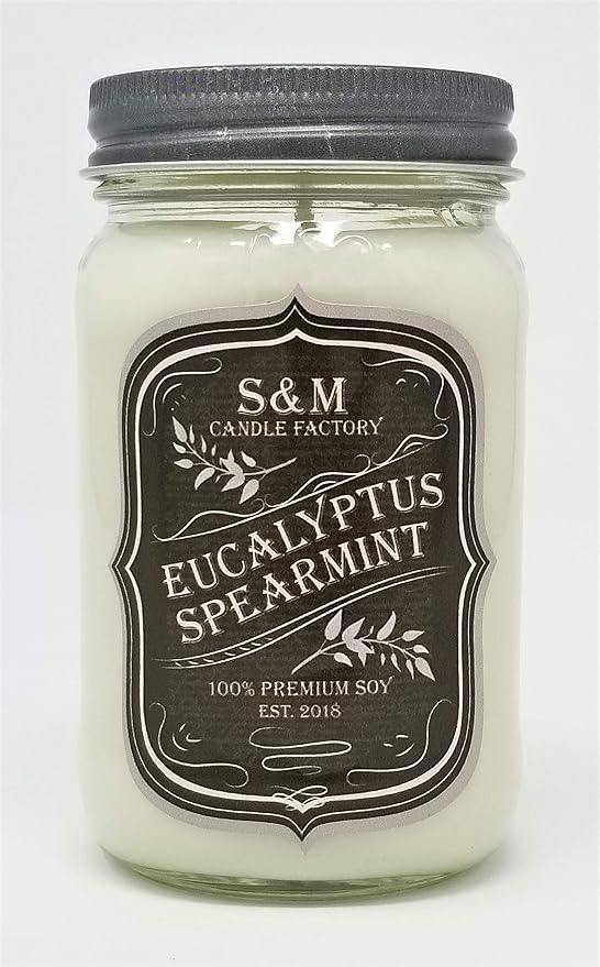 S&M Candle Factory Aromatherapy Soy Wax Scented Candle ~ Stress Free/Stress Relief Eucalyptus Spearmint ~ Made in USA 75 to 100 Hour Burn Time ~ (16.oz, White)