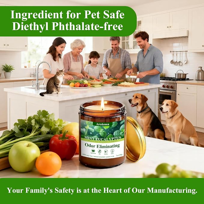 Mint Eucalyptus Odor Eliminating Candles | Eliminates 95% of Pet, Smoke, Food & Other Smells – Air Freshing Scented Candles - Gifts for Women Men, 50 Hour Burn time - 7 oz Natural Soy Wax