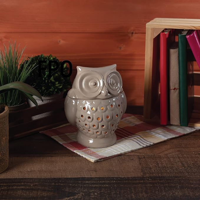 D'Eco Owl Fragrance Wax Melt Warmer - Electric Scented Tart & Candle Warmer w 4 Cinnamon Cubes - Plug-in Halogen Bulb Melts Wax Fills Room w Fresh Scent & Night Light Glow- Holiday Xmas Must Have Gift