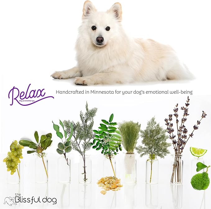 The Blissful Dog American Eskimo Relax Roll-ON Aromatherapy for Dogs - Anxiety Relief for Dogs