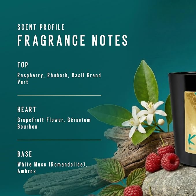 Scent Beauty K-3 Basil Energy Scented Candle Fresh Scent for Home Fruity and Herbal Scent to Lift Energy Modern Scent for Focus and Renewal 200 g
