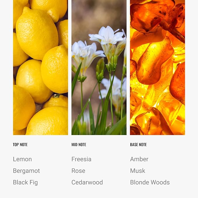 Hotel Collection Diffuser Oil-Black Velvet Pro-Pod-Aromatherapy Essential Fragrance Oil-Zesty Citrus, Juicy Black Fig& Floral Rose-50ML 1.7 Fl oz