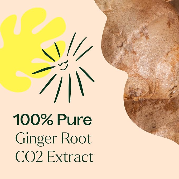 Plant Therapy Ginger Root CO2 Essential Oil, 10 mL (1/3 oz), 100% Pure and Undiluted, Natural Aromatherapy, Ginger Oil for Diffuser, Skin & Massage and Hair