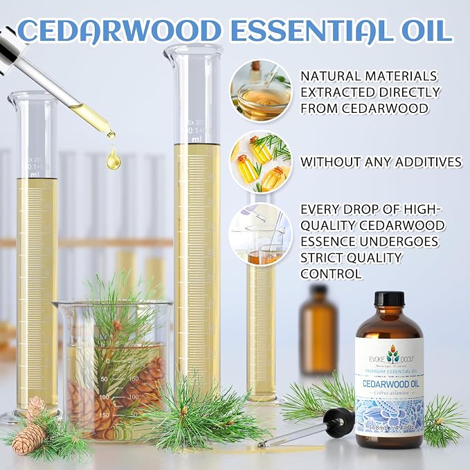 EVOKE OCCU Lemongrass Essential Oil and Cedarwood Essential Oil - 4 Fl Oz