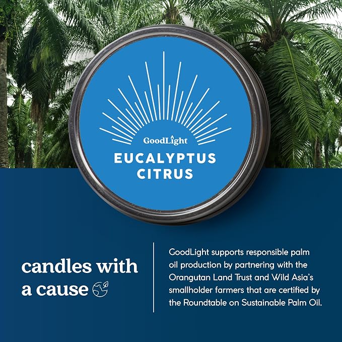 GoodLight Paraffin-Free Scented Candle in Stylish Tin (Eucalyptus Citrus, 6 oz)