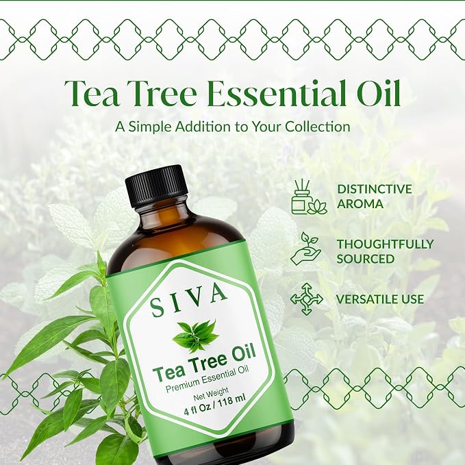 Siva Tea Tree Essential Oil 4 Fl Oz – for Diffuser, Skin & Hair Care – Ideal for Aromatherapy, Massage & DIY Blends- with Dropper