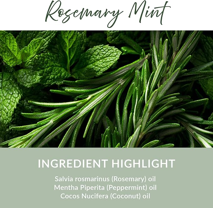 Essence Pearl Travel Case | Rosemary Mint Essential Oil | Aromatherapy Nasal Diffuser & Essential Oil Carrying Case | Peppermint & Rosemary Scent | Travel-Friendly Kit | Black Pod