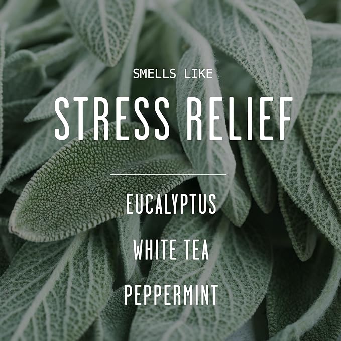 Stress Relief Candle I Relaxing Scented Black Candles for Men or Women w/Spearmint, White Tea & Eucalyptus Candle - Infused w/Essential Oils | Long 50Hr Burn,9oz I Non Toxic Aromatherapy I Made in USA