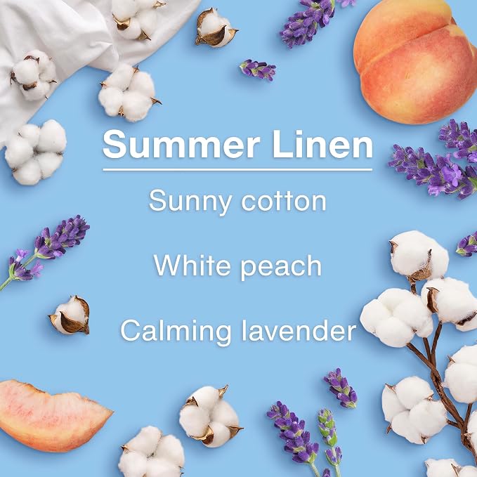LITTLE TREES Car Air Freshener | Hanging Tree Provides Long Lasting Scent for Auto and Home | 24 Air Fresheners |Summer Linen