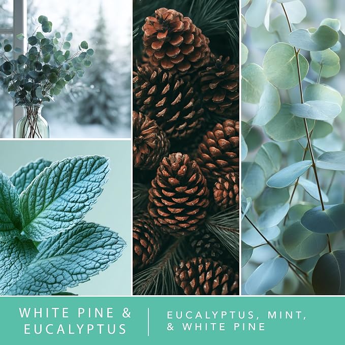ScentSationals Water-Based Reed Diffuser - White Pine & Eucalyptus - 5 FL OZ Aromatherapy Reed Diffuser