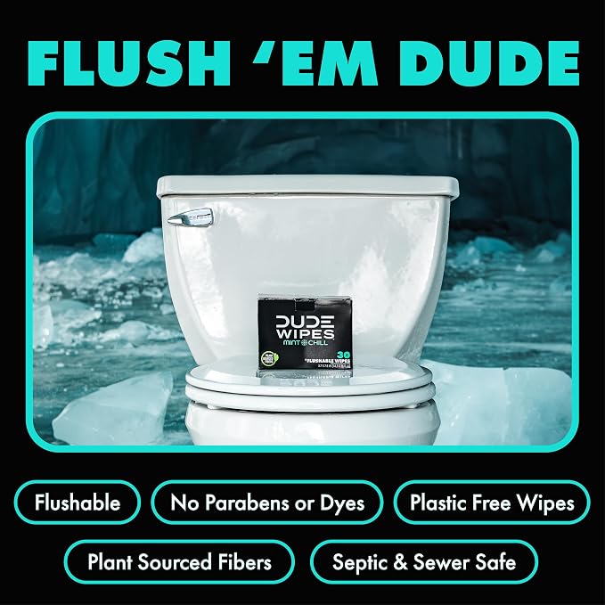 DUDE Wipes On-The-Go Mint Chill Travel Wipes-Extra-Large Adult Flushable Wipes - Infused with Tea Tree Oil, Vitamin E, and Aloe - Septic and Sewer Safe,30 Count (Pack of 4)