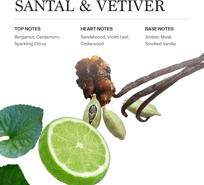 Santal & Vetiver Aroma Oil Refill Scent for Oil Diffusers, 100ml, 3.38 oz, Inspired by Modern Sandalwood Elegance, Luxurious Relaxing Aromatherapy Home Fragrance for Waterless Cold Air Diffusers