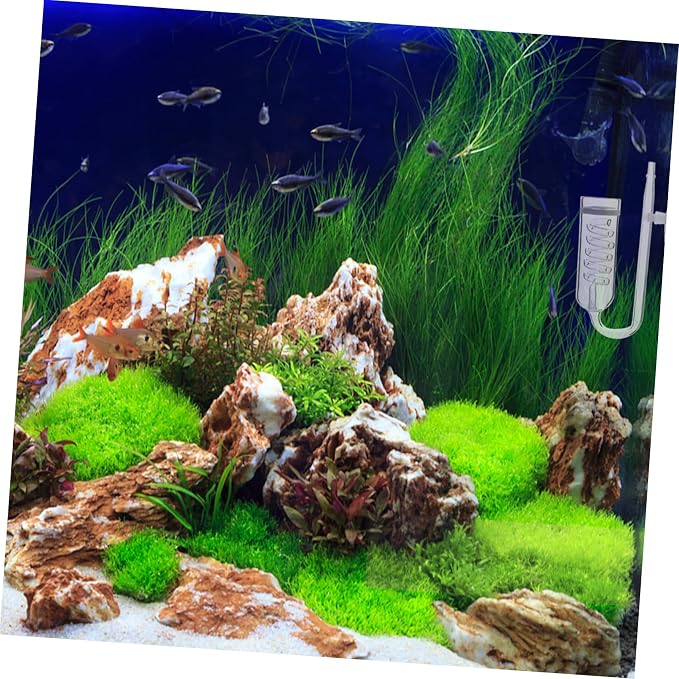Milisten Transparent Diffuser Device for Aquarium Promotes Aquatic Plant Growth Durable Glass Material Easy to Install Carbon Dioxide Diffusion System for Fish Tank