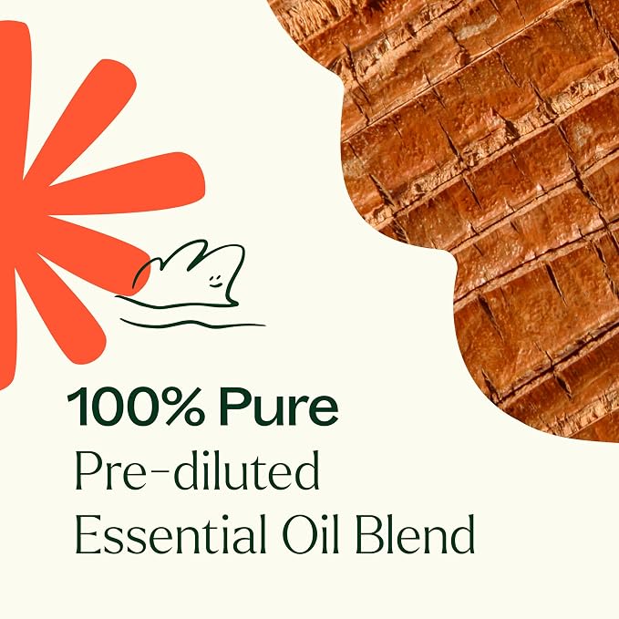 Plant Therapy Chakra 1 Grounded Foundation (Root Chakra) Essential Oil Blend Pre-Diluted Roll-On 10 mL (1/3 oz) 100% Pure, Ready to Use