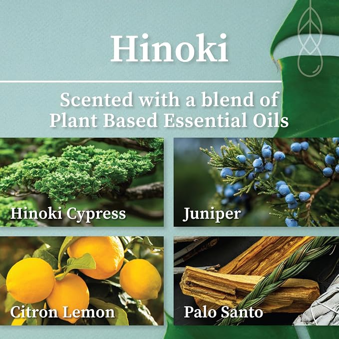 Hemlock Park Hinoki Amber & Gold Scented Candle | Crackling Wood Wick, Botanical Fragrance & Coconut Apricot Wax | Up to 50 Hour Burn Time | 7.2 oz | Made in USA