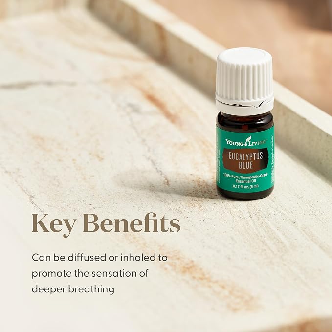 Young Living Eucalyptus Blue Essential Oil | 5 ml | Premium, Invigorating Botanical Extract | Crisp, Refreshing Aroma for Diffusers, Wellness, Comfort, & Soothing Aromatherapy Experience