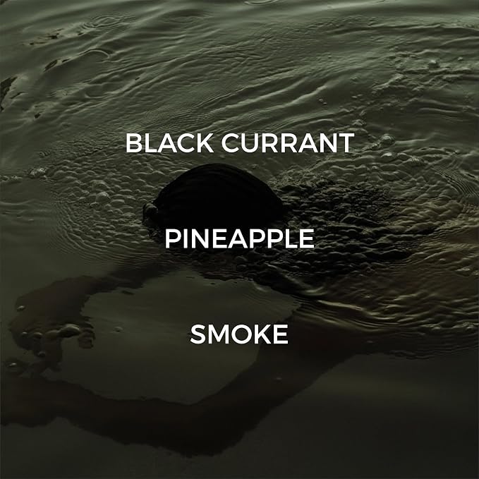 Luxury Reed Diffuser| True Hue | 3.75 fl oz | Glass and Rattan | Lasts for 2-3 Months | Fragrance Diffusers for Home | Handmade in USA (Skinny Dipping)