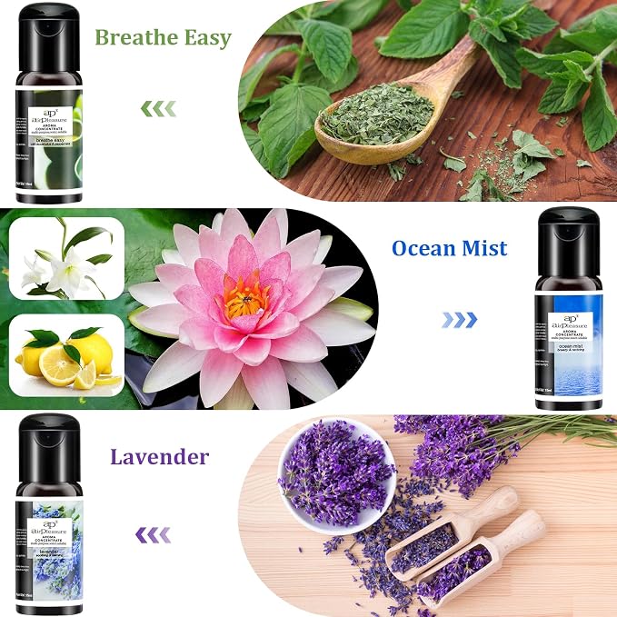 Reborn Essential Oils Set, 6x15ml Fragrance Oils Kit for Diffuser, Humidifier, Aromatherapy, Air Purifier - Aqua Lily, Water Hyacinth, Breathe Easy, Ocean Mist, Neverland, Lavender
