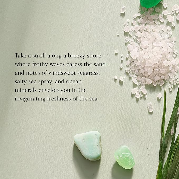 Chesapeake Bay Mood-Evoking Reed Diffuser, Marine Drift Scent, Sea Glass-Inspired Jar, Room Filling Fragrance Made with Essential Oils, Coastal Fragrance for Home Décor or Gifting