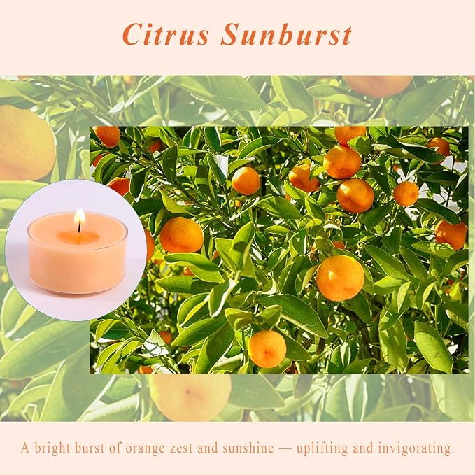Scented Tea Lights Candles, Citrus Sunburst, 8 Pack – Vibrant Orange Scented Tealight Candles – 100% Palm Wax, 6 Hour Burn Aromatherapy Tea Light Votive Candle for Holiday Gatherings, Festive Decor