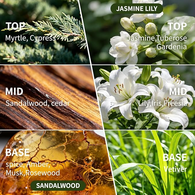 Reed Diffuser Set of 2, 4 fl oz Earthy Sandalwood & Vanilla Cream Scent Diffuser with 20 Sticks, 180 Days Long Lasting Elegant Home Fragrance for Bathroom Bedroom Decor Air Fresh
