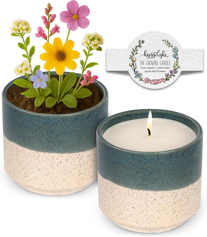 Hyggelight - The Growing Candle, Coffee Scented, 8.5oz Ceramic Pot, Aromatherapy Candles, 100% Soy, Cream and Espresso Aroma for Home, Willow