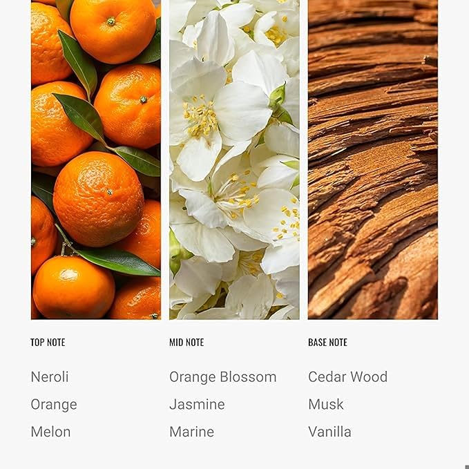 Hotel Collection Diffuser Oil - Paradise - Aromatherapy Essential Fragrance Oil - Melon, Jasmine & Musk - 120ML 4.1 Fl oz