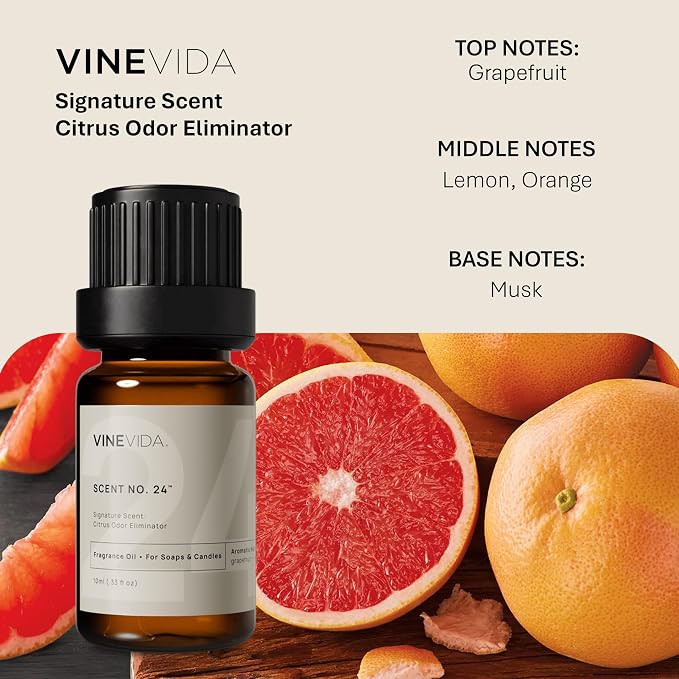 VINEVIDA [0.33oz] Scent No.24 Fragrance Oil for Candle Making and Soap Making - Premium Candle Scents for Soy Candles