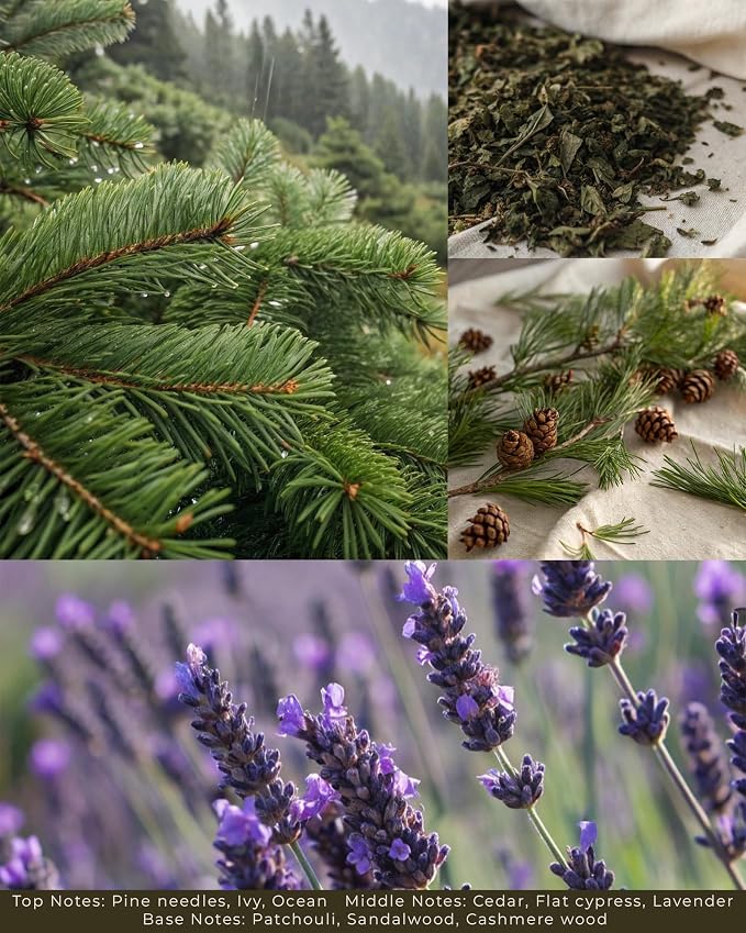 Fraser Fir Scented Candles - 100% Natural Soy Wax - Large 3 Wick Jar Candle - Up to 50 Hours Burning Time - Candles for Home - Gift-Ready Candle for Men & Women - Aromatherapy