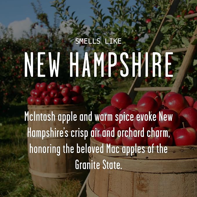 New Hampshire Gifts, New Hampshire Decor for Home - 'There's No Place Like New Hampshire Candle, w/McIntosh Apple & Spice I New Hampshire Souvenirs State Gifts I 9oz Jar, 50Hr Burn, USA Made