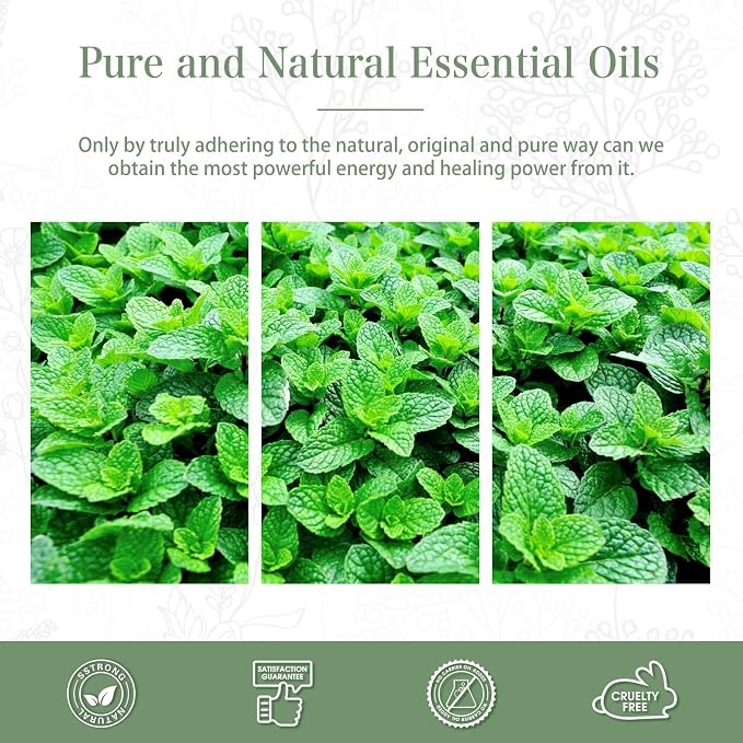 Spearmint 3.38fl.oz Essential Oil, PHATOIL Pure Aromatherapy Oils for Diffuser, Humidifier, Perfect for DIY Soap, Candle, Bath Bombs Making(100ml)