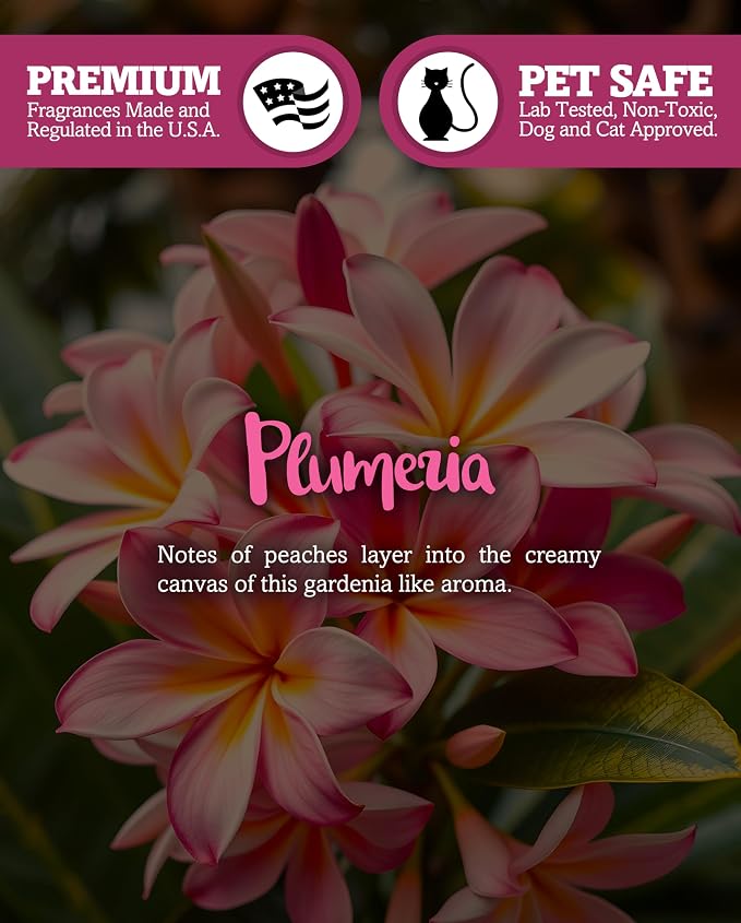 Pure Plumeria Premium Tealight Candles - 6 Pink Highly Scented Tea Lights - Beautiful Candlelight - Made in the USA - Flower & Floral Collection