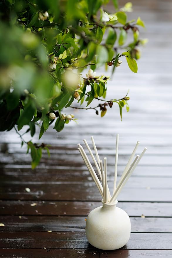 Blueme Happiness Wellness Diffuser Oil Refill | Yuzu & Ginger | 5.92 Fl Oz - Refillable Diffuser, Essential Oils, Ceramic, Rattan Reeds | Small