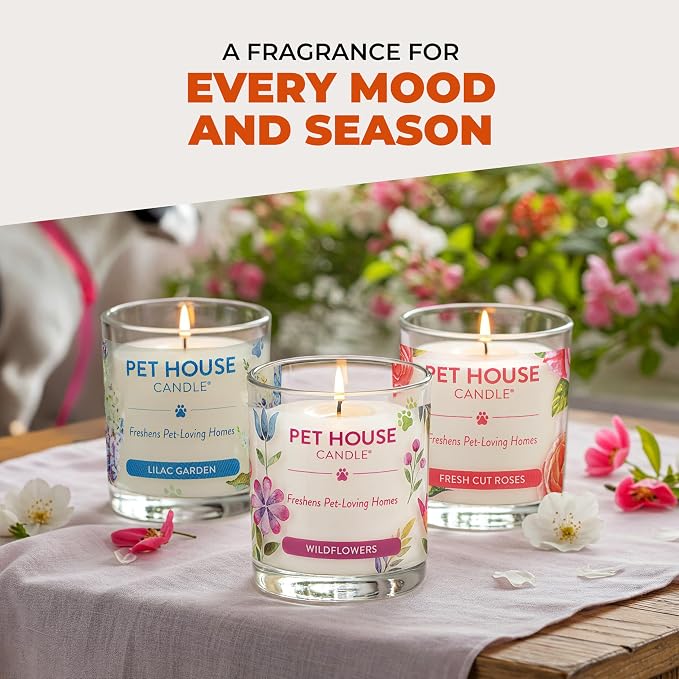 Pet House Candle Plant-Based, Clean Burning Long Lasting Scented Pet Odor Candle for Home - Evergreen Forest