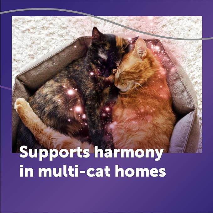 FELIWAY Optimum Cat Calming Diffuser Kit – Advanced Support to Help Reduce Urine Spraying, Scratching, Fighting and Hiding due to Stress – 30‑Day All in One Cat Pheromone Plug In Diffuser