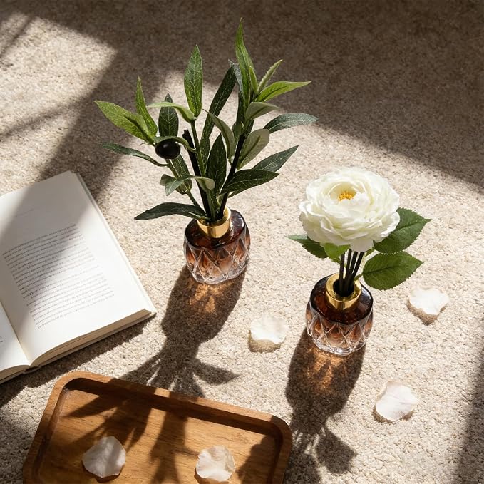 Empty Reed Diffuser Glass Bottle Set, Scent Diffuser Empty Bottle with Sticks Eucalyptus, Fragrance Aromatherapy Essential Oil DIY Jar for Home Shelf Bedroom Bathroom Office Decor