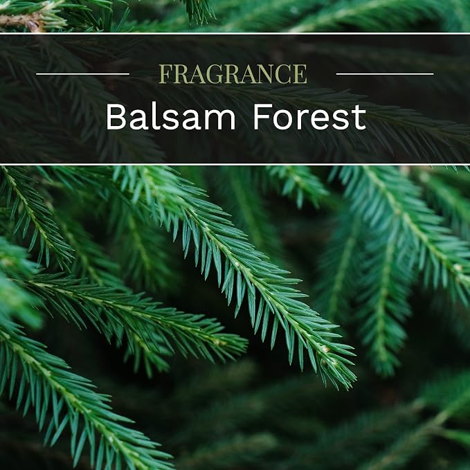 Candle-lite Scented Candles, Balsam Forest Fragrance, One 18 oz. Single-Wick Aromatherapy Candle with 110 Hours of Burn Time, Green Color