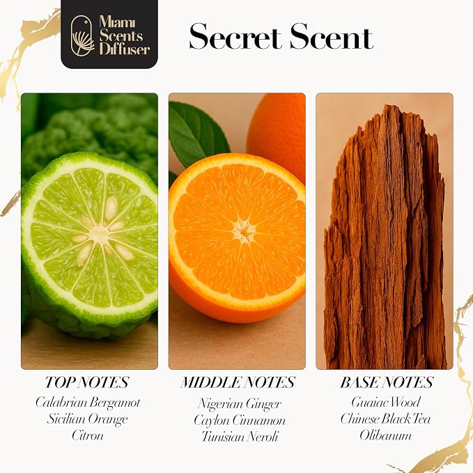 Secret Noir Essential Oil Refill Luxury Hotel Inspired - Long Lasting Aroma for Home & Commercial Diffuser - 120 ml Fresh Blend of Musk Wood and Bergamot Leaves, Scent for Spa Wellness Aromatherapy.