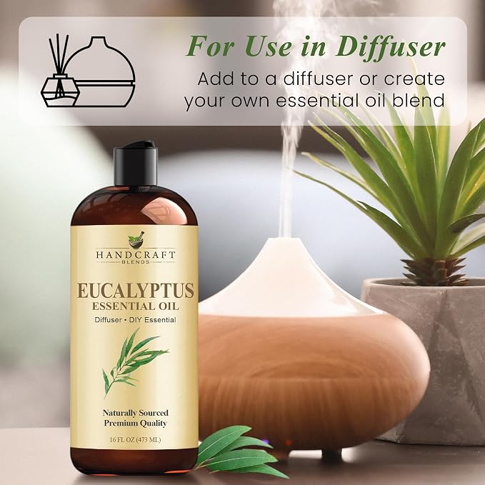 Handcraft Blends Eucalyptus Essential Oil - Huge 16 Fl Oz - for Candle Making, Soap Making, Diffusers, and Aromatherapy