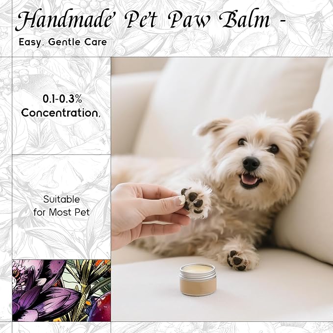HIQILI Looking for Myself Fragrance Oil for Diffuser, DIY Candle, Soap, Perfume Making, Long Lasting Warm & Sweet Scents - 5.07 Fl Oz