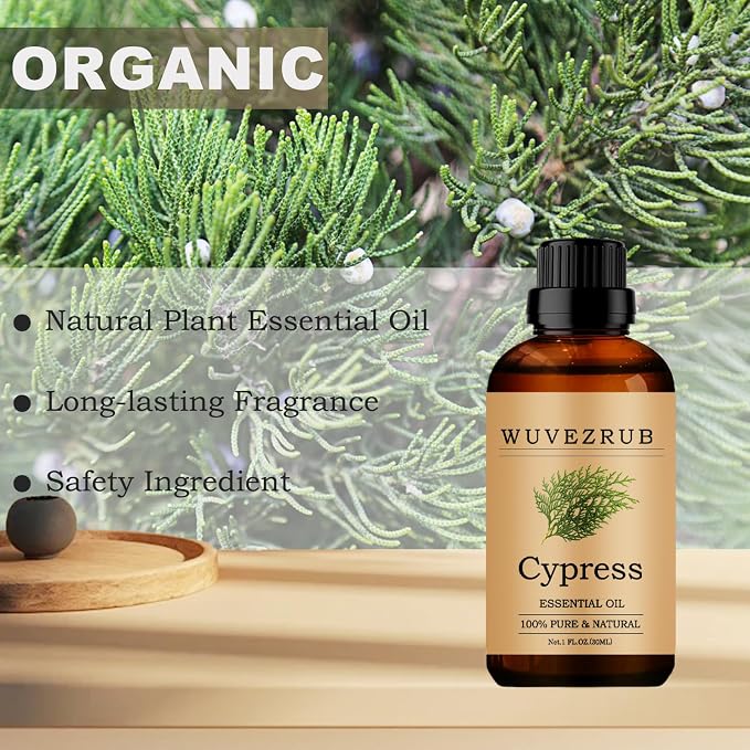 Cypress Essential Oils, 30ML Pure and Natural Essential Oil for Aromatherapy Diffuser - Cypress / 1 Fl Oz