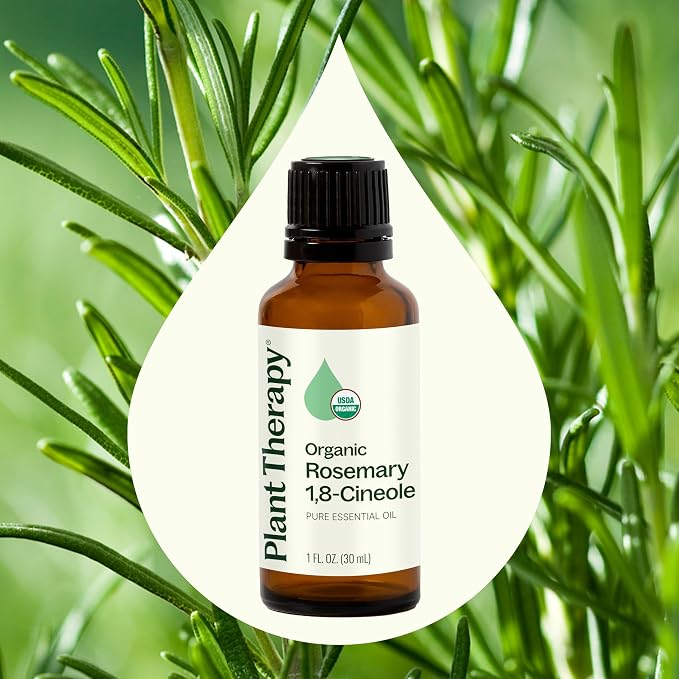 Plant Therapy Organic Rosemary Essential Oil, 30 mL (1 oz), 100% Pure and Undiluted, USDA Certified Organic, Great for Aromatherapy and Natural Hair Growth