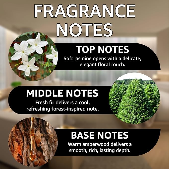 Bougie 540 Fragrance Oil | Jasmine, Fir & Amberwood Notes | Long Lasting Scent Reed Diffuser Oil for Home, Office, Hotel, Spa, Car & Linen Spray | Pet Friendly IFRA Compliant, 10 ml